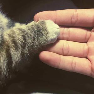 免费➕无码➕国产在线观看按摩
